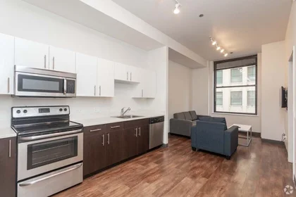 Stanza privata in East Jackson Boulevard, immagine 29 di 33