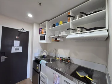 私人房间 在 Whitaker Place, 34的图像15