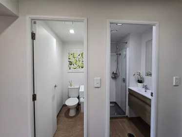私人房间 在 Whitaker Place, 34的图像16