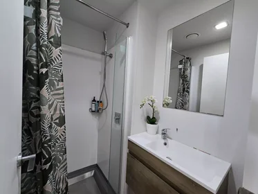 私人房间 在 Whitaker Place, 34的图像18