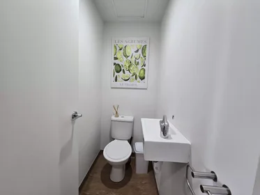 私人房间 在 Whitaker Place, 34的图像19