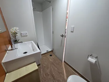 Habitación privada en Whitaker Place, imagen 18 de 34