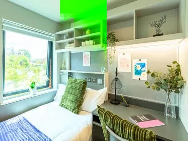 Private room at Stadium Way, image 1 of 10
