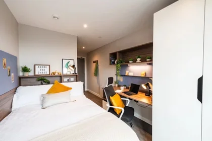 Renting rooms by the month in {area}