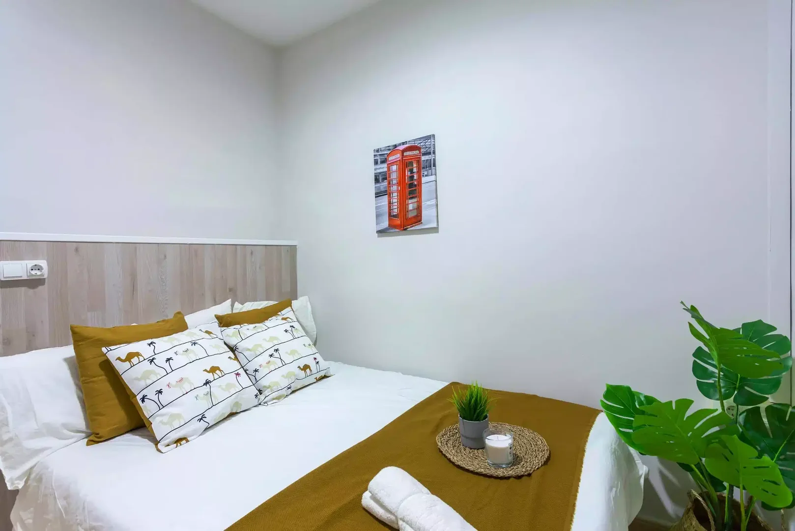 Room for rent in student apartment in , fully furnished