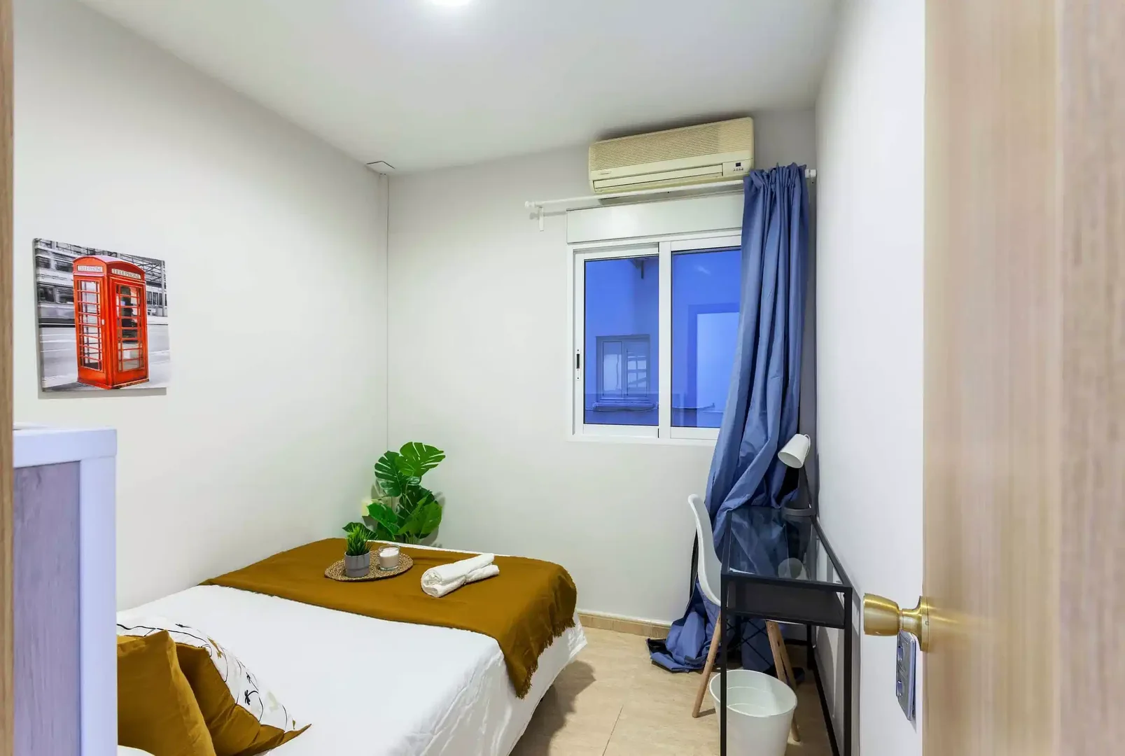 Affordable room for students with ample lighting in 