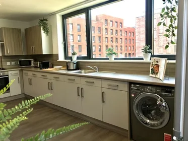 Privatzimmer in der Hollis Croft, bild 7 von 49