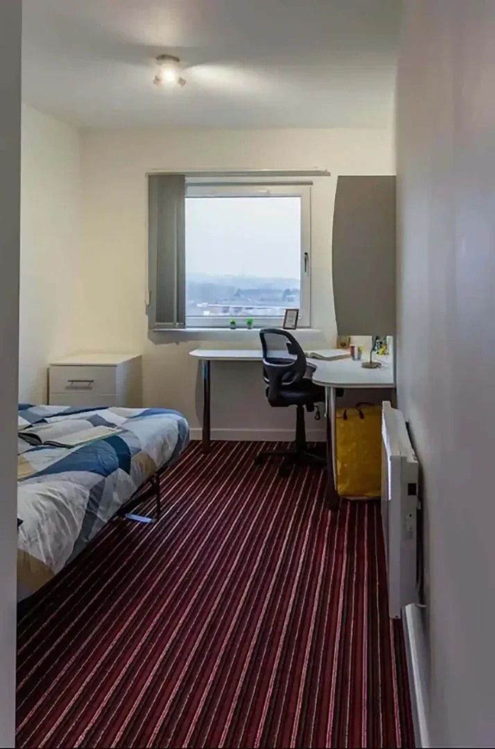 Habitación estudiantil amplia y cómoda en 