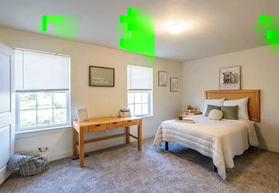 Stanza privata in South Grand Avenue, immagine 1 di 18