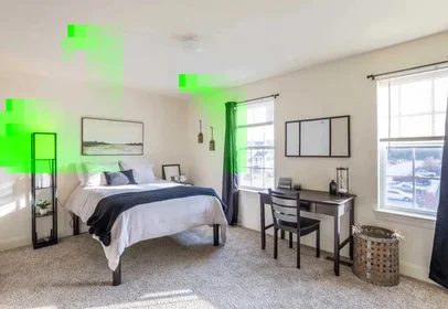 Stanza privata in South Grand Avenue, immagine 16 di 19