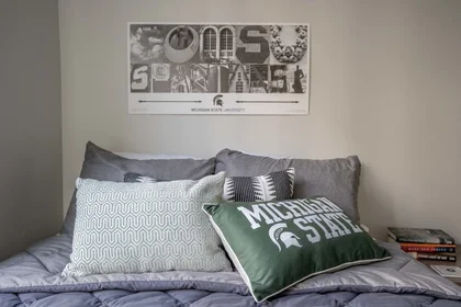 Habitación privada en East Grand River Avenue, imagen 45 de 49