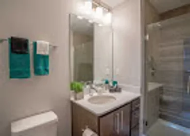 Habitación privada en East Grand River Avenue, imagen 33 de 49