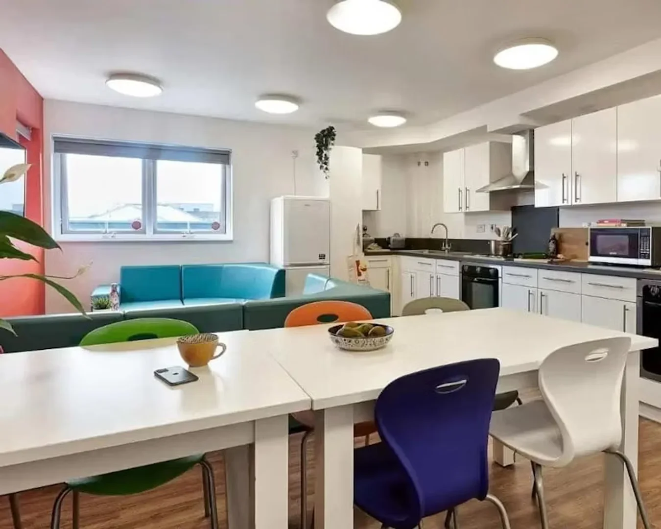 Affordable room for students with ample lighting in