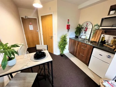 Stüdyo daire konumu Fylde Road, 2 27 görüntüsü