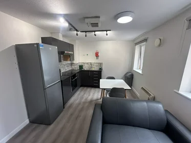 Habitación privada en Lower Gill Street, imagen 19 de 27