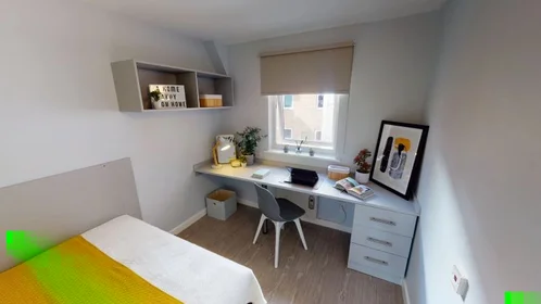 Habitación privada en Lower Gill Street, imagen 6 de 27