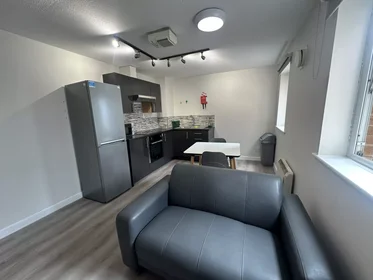 Privatzimmer in der Lower Gill Street, bild 18 von 25