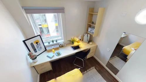 Privatzimmer in der Lower Gill Street, bild 4 von 25