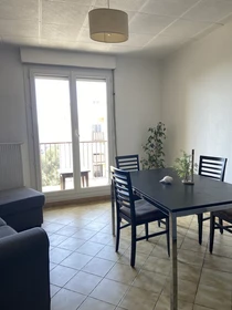 Renting rooms by the month in Nice