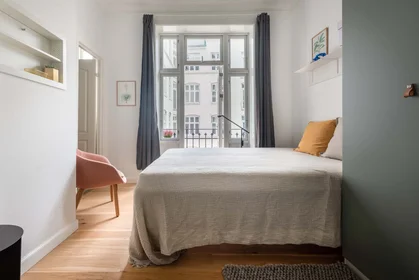 Private room at Nørrebro, Copenhagen, Denmark, image 1 of 10
