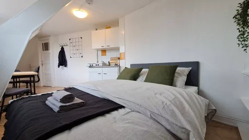 Chambre privée à Rhijnvis Feithstraat, Nieuw Engeland, image 1 de 10