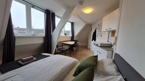 Privatzimmer in der Rhijnvis Feithstraat, Nieuw Engeland, bild 3 von 10