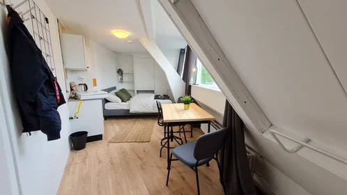 Privatzimmer in der Rhijnvis Feithstraat, Nieuw Engeland, bild 6 von 10