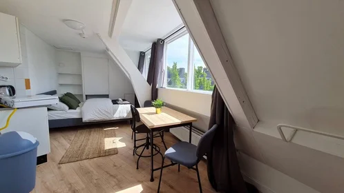 Privatzimmer in der Rhijnvis Feithstraat, Nieuw Engeland, bild 7 von 10