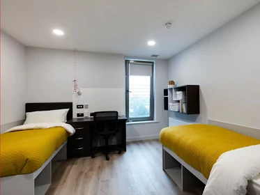 Alquiler de habitación en piso compartido en Dublin