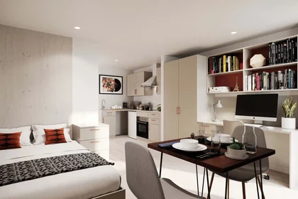 Stanza privata in Bolton Street, immagine 28 di 47