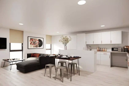 Stanza privata in Bolton Street, immagine 29 di 47