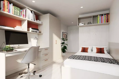 Stanza privata in Bolton Street, immagine 30 di 47