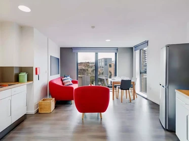 私人房间 在 Dunaskin Street, 49的图像23