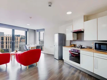 私人房间 在 Dunaskin Street, 49的图像24