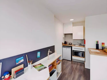 私人房间 在 Dunaskin Street, 49的图像26