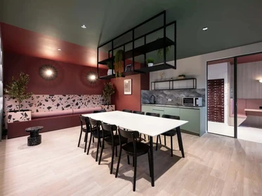 私人房间 在 Dunaskin Street, 49的图像28