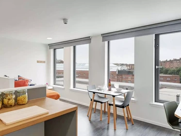 私人房间 在 Dunaskin Street, 49的图像37