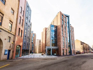 私人房间 在 Dunaskin Street, 49的图像39