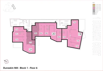 私人房间 在 Dunaskin Street, 49的图像44