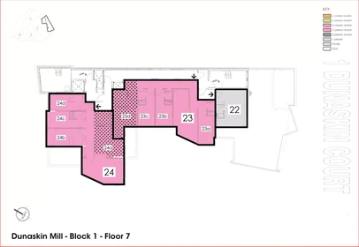 私人房间 在 Dunaskin Street, 49的图像45