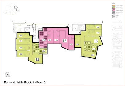 私人房间 在 Dunaskin Street, 49的图像46