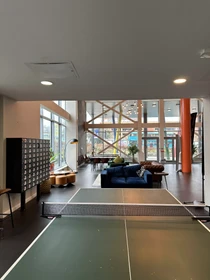 Chambre privée à Devon Street, image 1 de 10