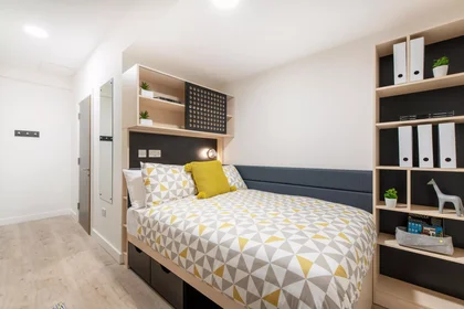 Stanza privata in Dominick Street Upper, immagine 1 di 10