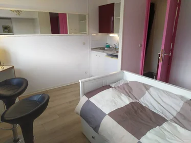 Chambre privée à Lambersart, 59130, image 28 de 36