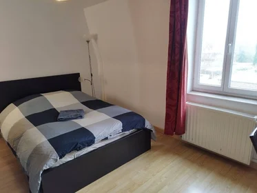 Chambre privée à Lambersart, 59130, image 33 de 36