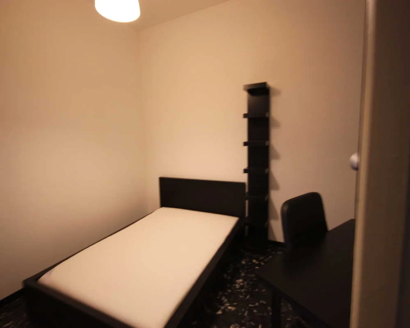 Budget-friendly student room close to campus in 