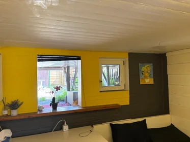 Estudio en Sinaasappelstraat, imagen 1 de 10