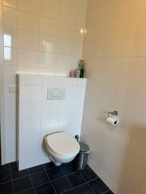 Prywatny pokój Tjeerdsraklaan, obraz 3 5