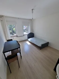 Private room at Hengstdalseweg, image 1 of 4