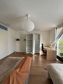 Habitación privada en Mattenbiesstraat, imagen 6 de 8